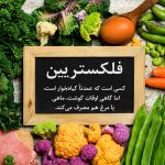 تغذیه | متفرقه